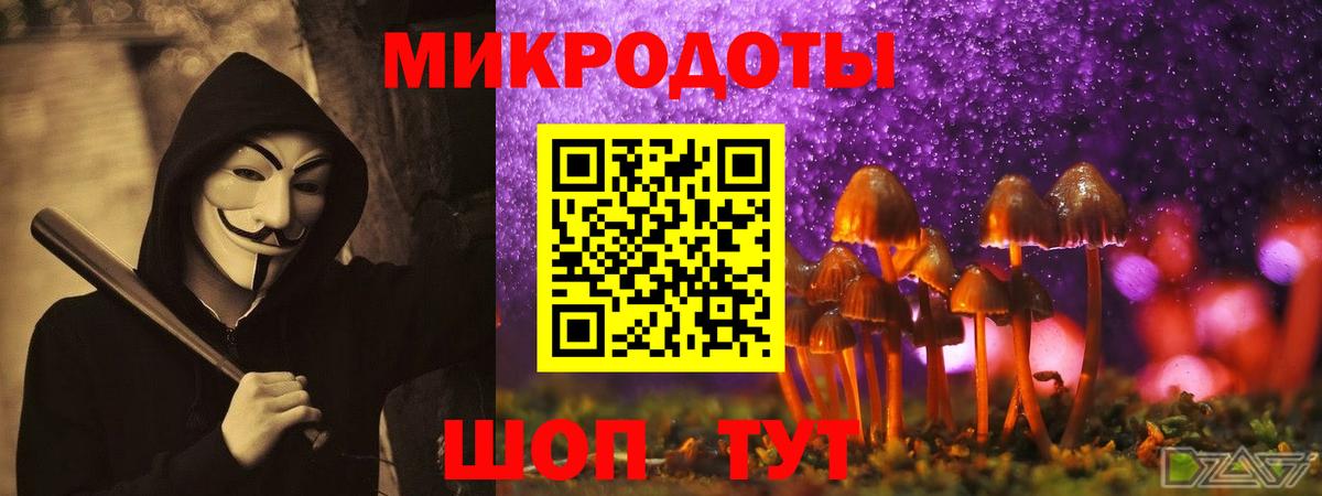 Псилоцибиновые грибы MAGIC MUSHROOMS Печора